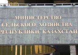 Новый вице-министр МСХ Умирьяев представлен коллективу министерства