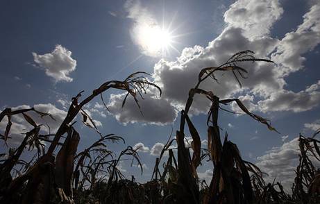 9861638 standard Страшная засуха в Техасе: фанатики ждут конца света‎