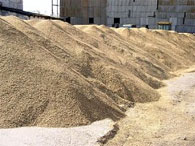В Казахстане убрано 99,5% площади зерновых и намолочено 28,8 млн тонн зерна