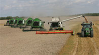 Казахстан увеличил сбор зерновых в 2011 году более чем в два раза до 29,7 млн тонн