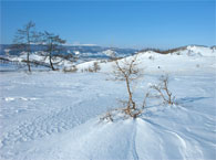 Трое детей, двое взрослых погибли, замерзнув в степи в Жамбылской области 