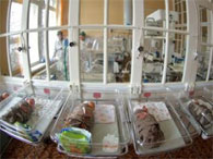 По мнению прокуроров областного центра, атырауские медики занижают статистику по младенческой смертности
