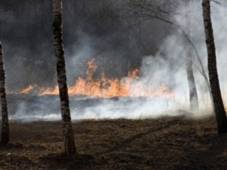 МСХ назвало предварительную причину пожара в Нацпарке