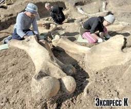 При строительных работах в столице периодически находят останки доисторических животных