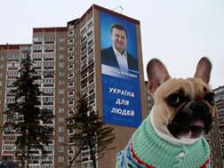 Украинцев предложили штрафовать за отказ убирать собачьи экскременты