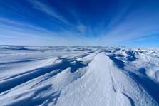 В Антарктиде пропал самолет с тремя канадцами