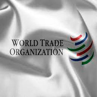 Первый год России в ВТО: ничего не изменилось