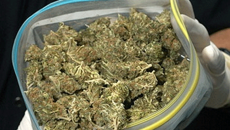 Костанайская область марихуана купить крем filorga hydra filler