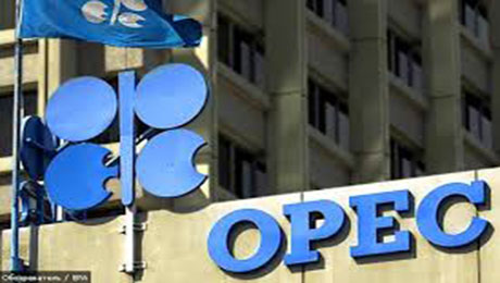 ОПЕК не должна отвечать за изменение цен на нефть
